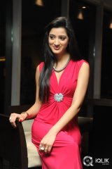 Richa Panai at Player Movie Poster Launch